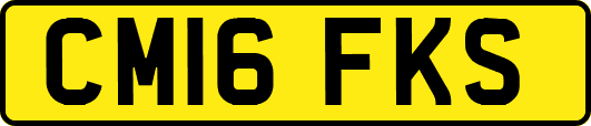 CM16FKS