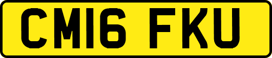CM16FKU