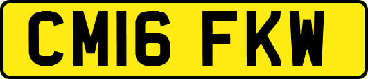 CM16FKW