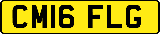 CM16FLG