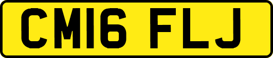 CM16FLJ