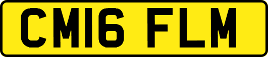 CM16FLM