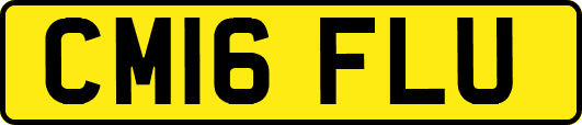 CM16FLU