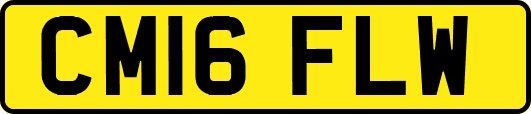 CM16FLW
