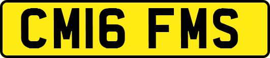 CM16FMS