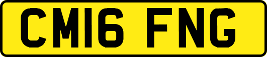 CM16FNG