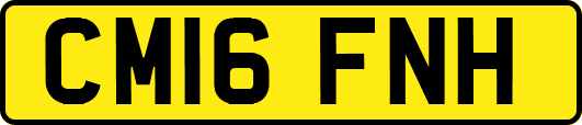 CM16FNH