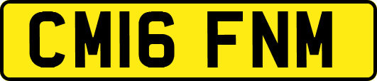 CM16FNM