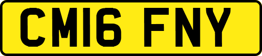 CM16FNY