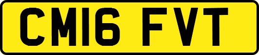 CM16FVT