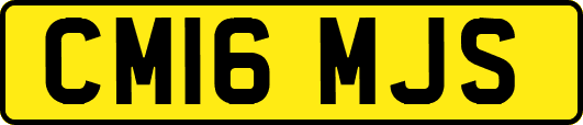 CM16MJS