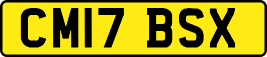 CM17BSX