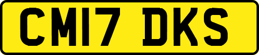 CM17DKS