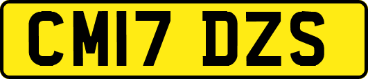 CM17DZS