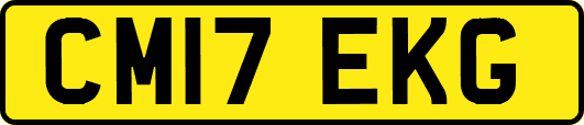 CM17EKG
