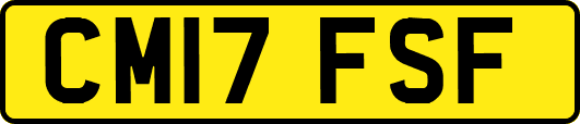 CM17FSF