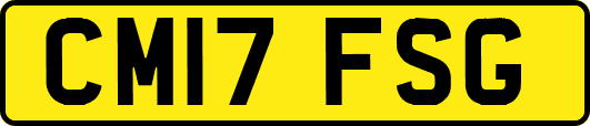 CM17FSG