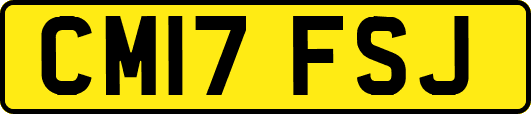 CM17FSJ