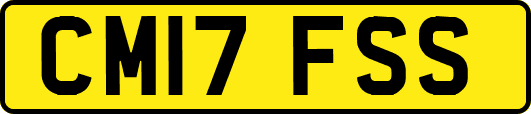 CM17FSS