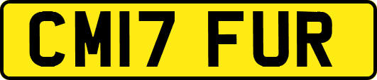 CM17FUR