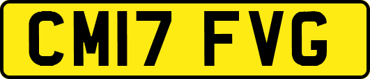 CM17FVG