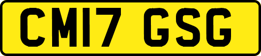 CM17GSG