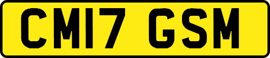 CM17GSM