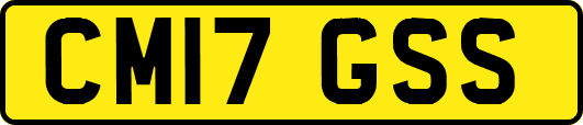 CM17GSS