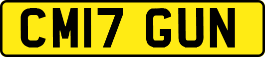 CM17GUN