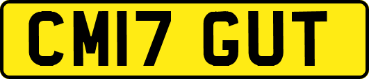 CM17GUT
