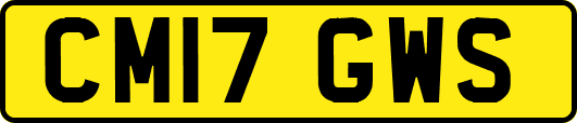 CM17GWS