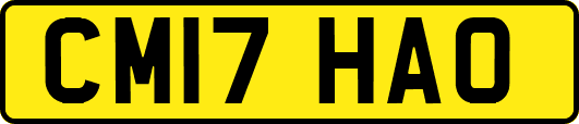 CM17HAO