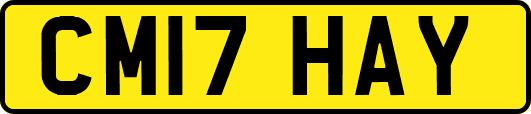 CM17HAY