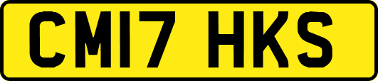 CM17HKS