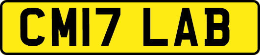CM17LAB