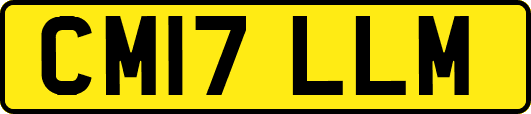 CM17LLM