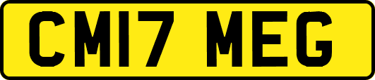 CM17MEG