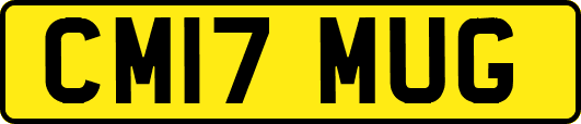 CM17MUG
