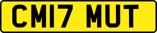 CM17MUT
