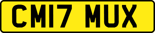 CM17MUX