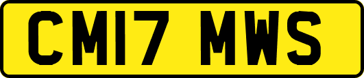 CM17MWS