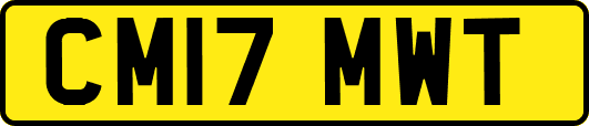 CM17MWT