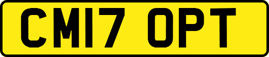 CM17OPT