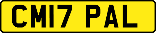 CM17PAL