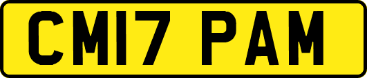 CM17PAM