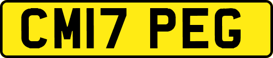 CM17PEG