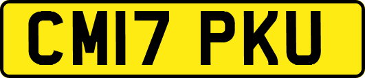CM17PKU