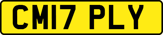 CM17PLY
