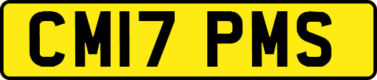 CM17PMS
