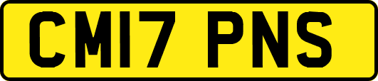 CM17PNS
